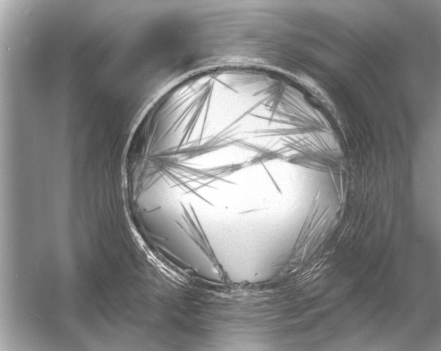 X0000055991287200509162242