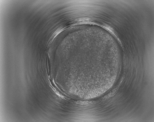 X0000055991289200509162242