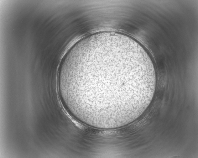 X0000055991290200509162242