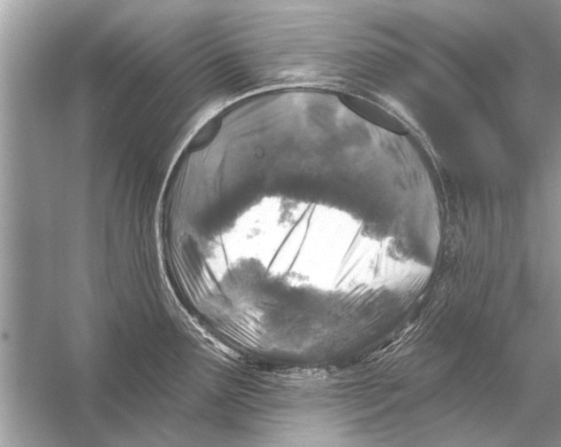 X0000055991291200509162242