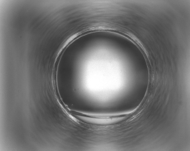 X0000055991293200509162242