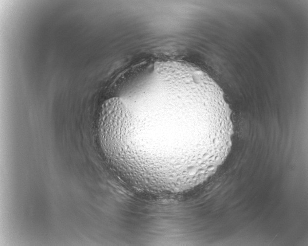 X0000055991297200509162241