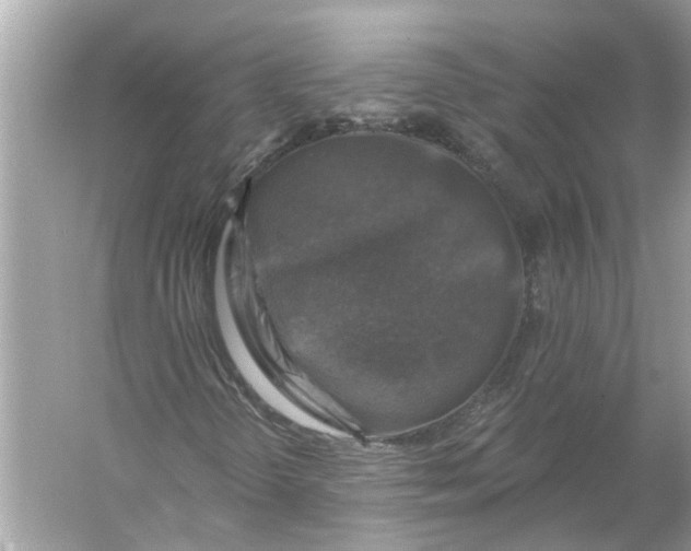 X0000055991298200509162241