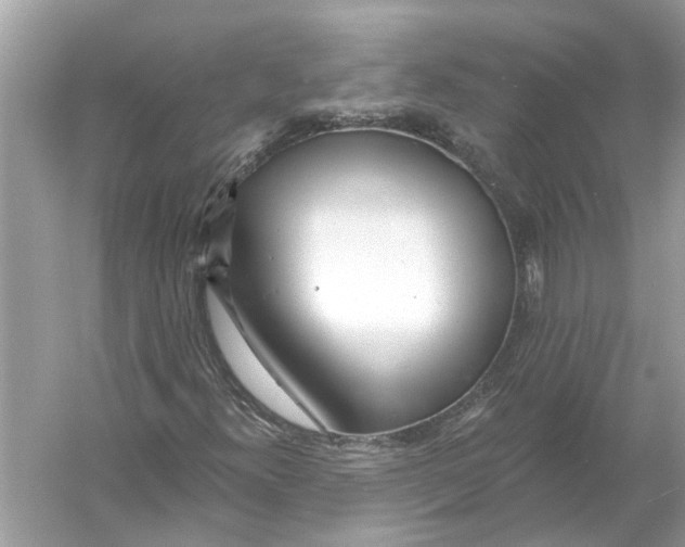 X0000055991300200509162241