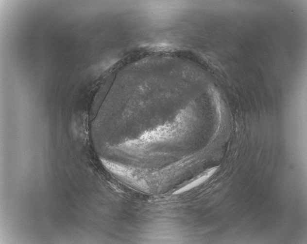 X0000055991301200509162241