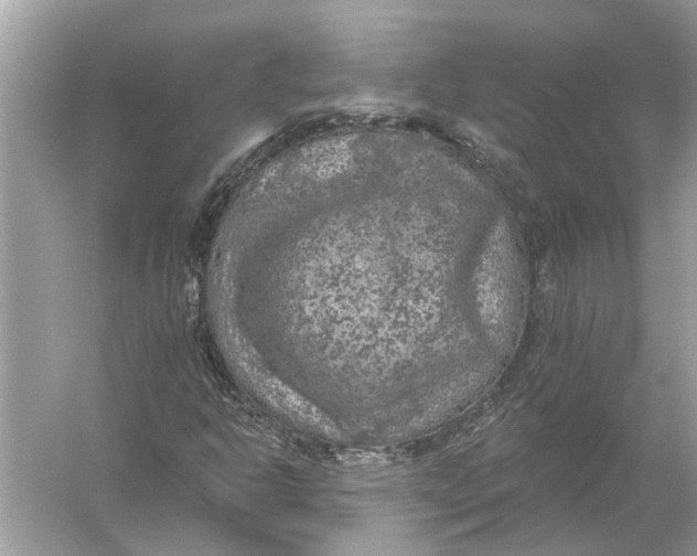 X0000055991302200509162241