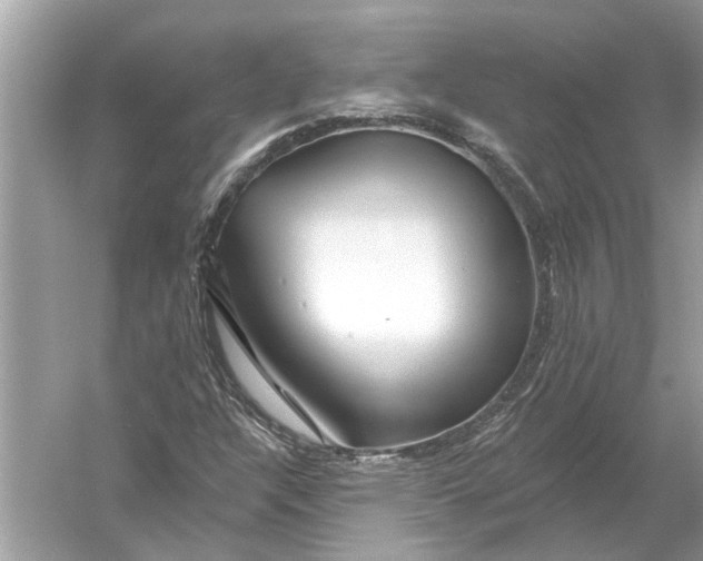 X0000055991304200509162241