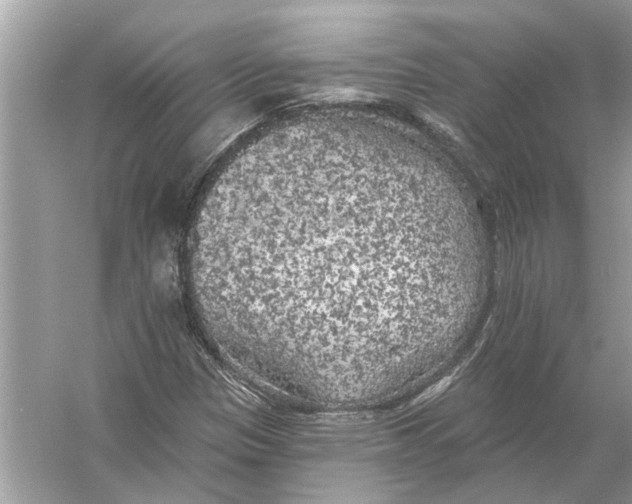 X0000055991305200509162241