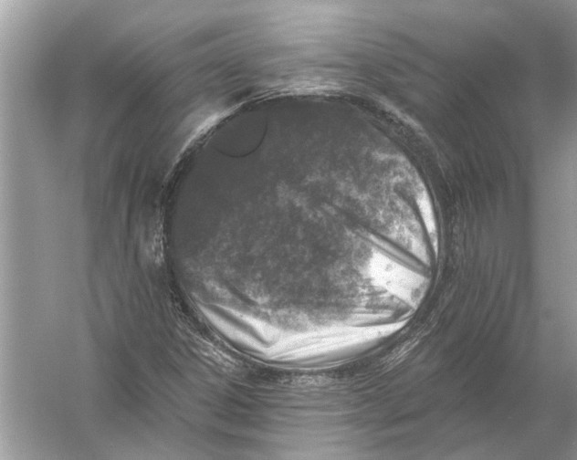 X0000055991306200509162241