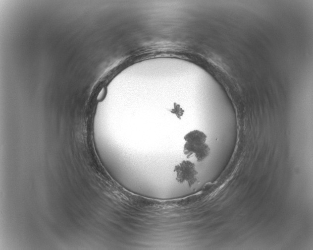 X0000055991309200509162241