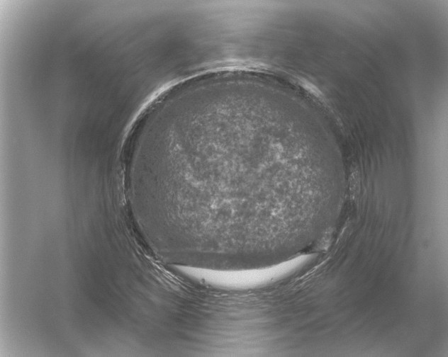 X0000055991310200509162241