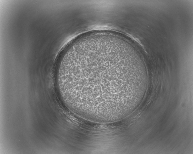 X0000055991311200509162241