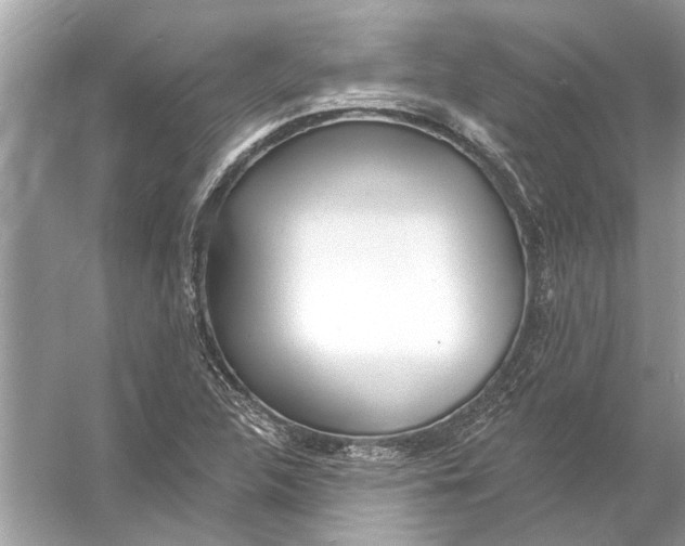 X0000055991312200509162241