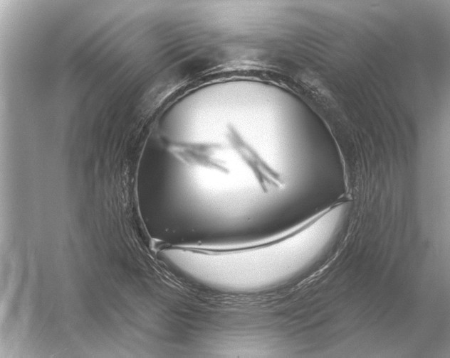 X0000055991313200509162241