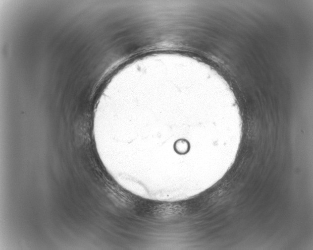 X0000055991314200509162241