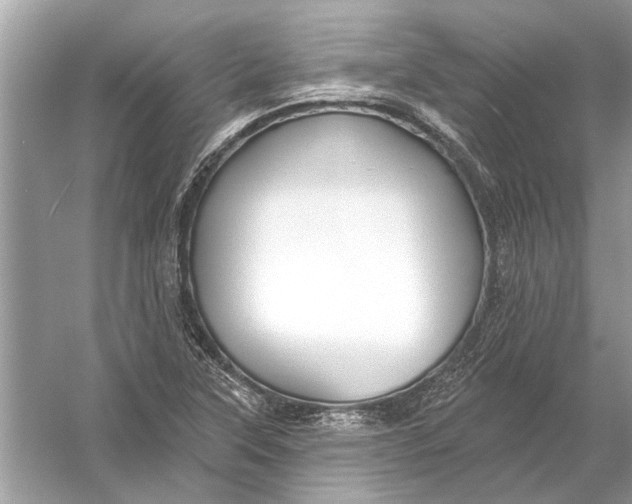 X0000055991315200509162241