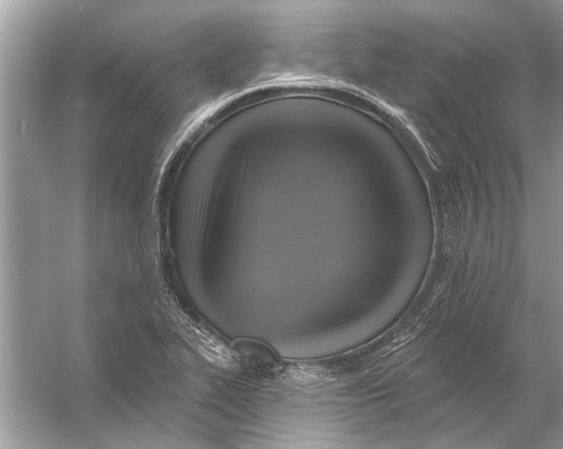 X0000055991319200509162241