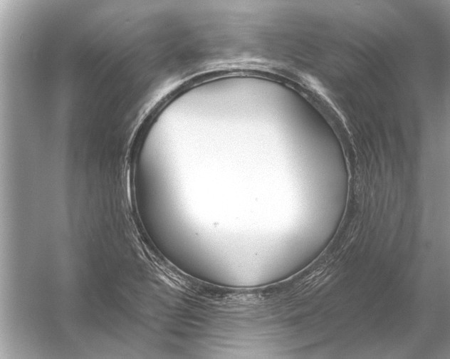 X0000055991320200509162241