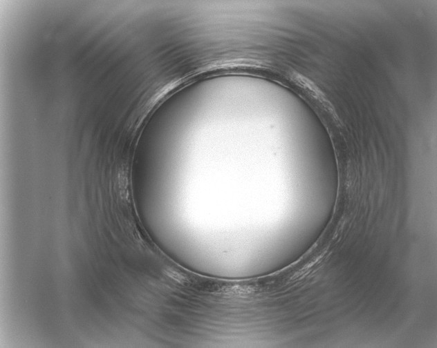 X0000055991321200509162241