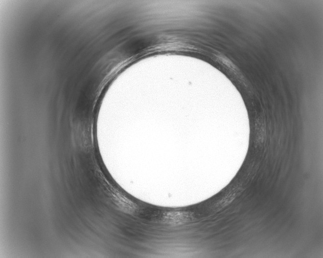 X0000055991322200509162241