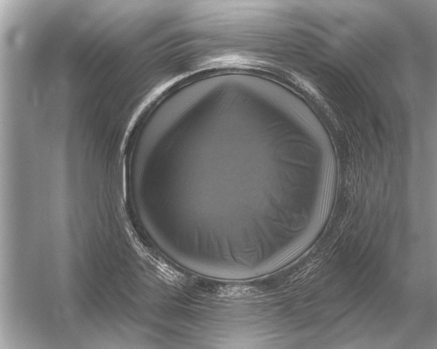 X0000055991323200509162241