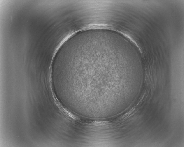 X0000055991325200509162241