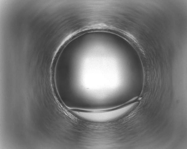 X0000055991326200509162241