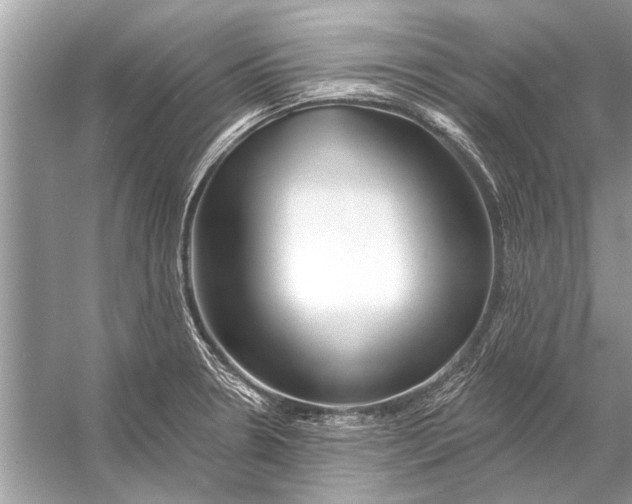 X0000055991330200509162241