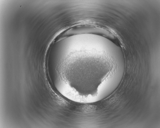 X0000055991331200509162241