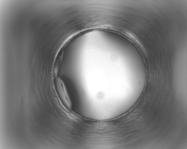 X0000055991332200509162241