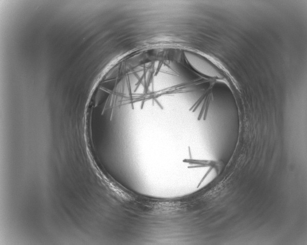 X0000055991333200509162241