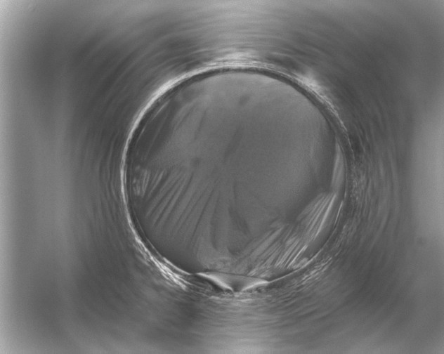 X0000055991334200509162241