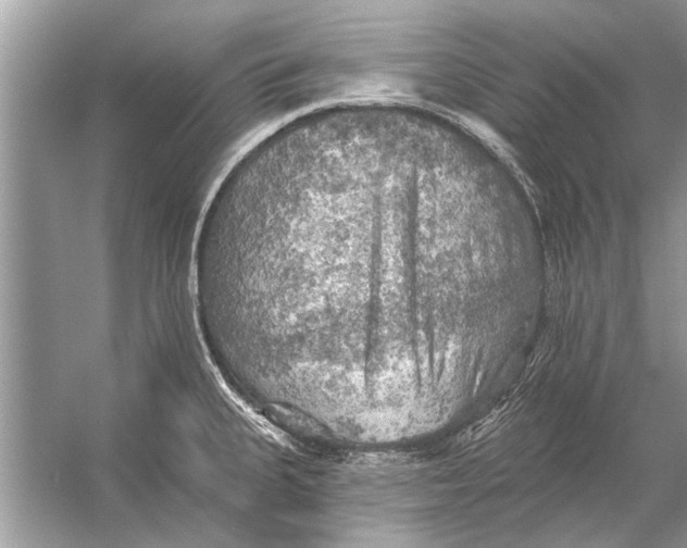 X0000055991335200509162241