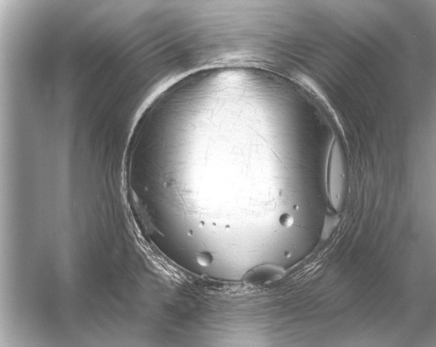 X0000055991336200509162241