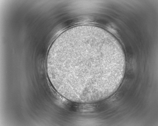 X0000055991338200509162241