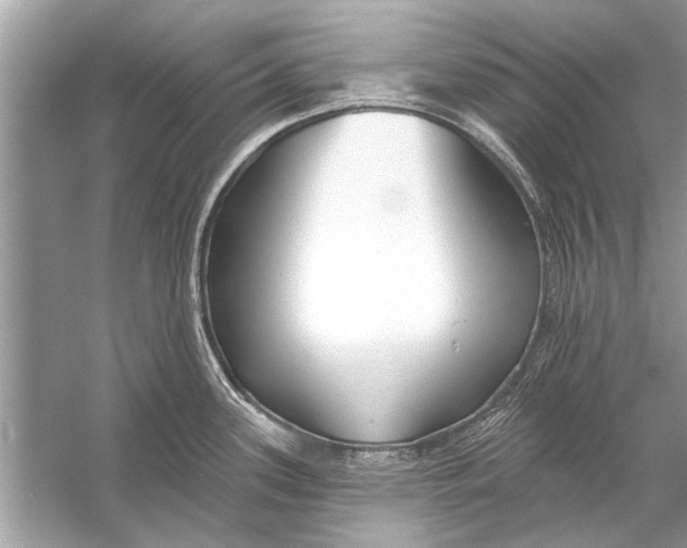 X0000055991339200509162241