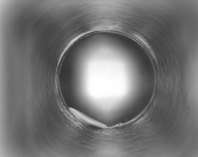 X0000055991340200509162241