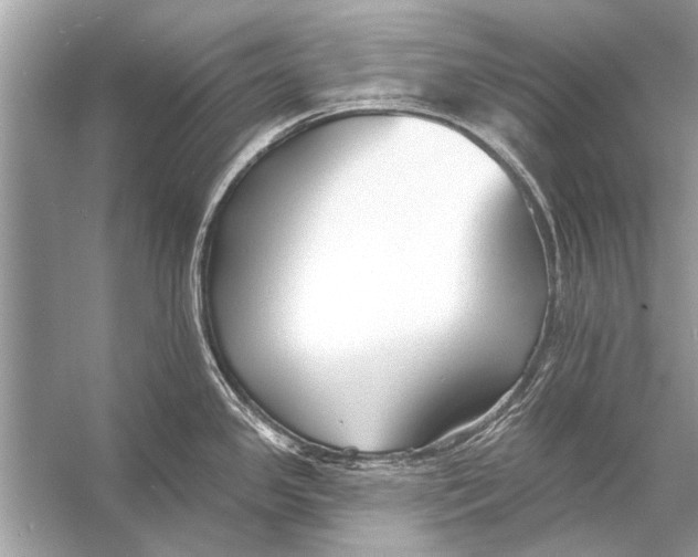 X0000055991341200509162241