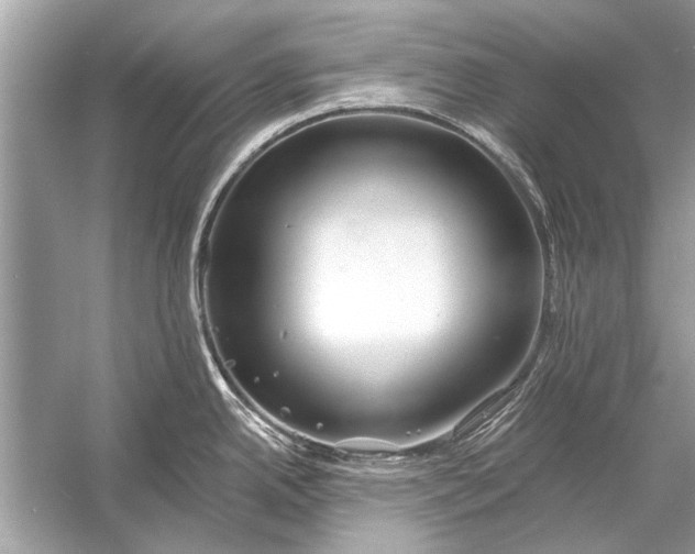 X0000055991342200509162241