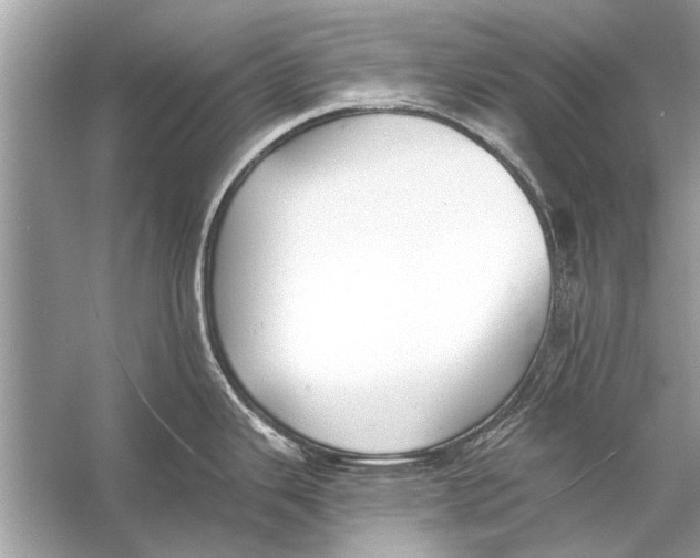 X0000055991343200509162242