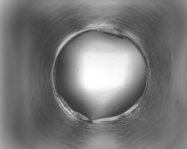 X0000055991344200509162242