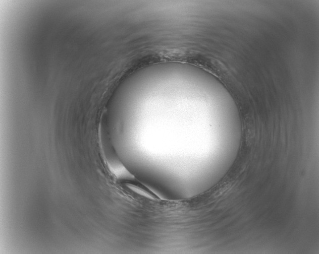 X0000055991345200509162241