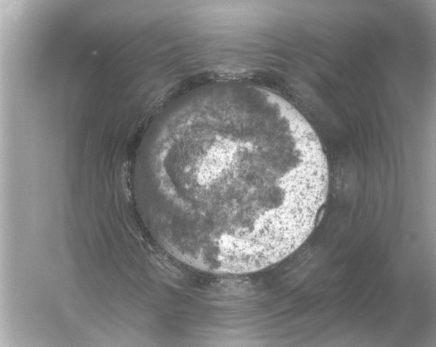 X0000055991346200509162241