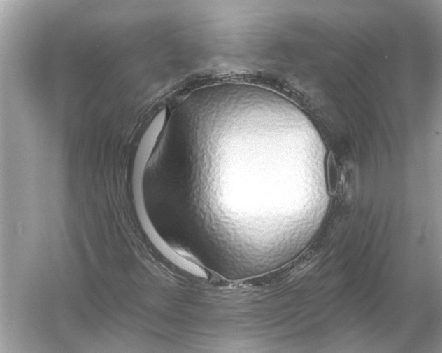 X0000055991348200509162241