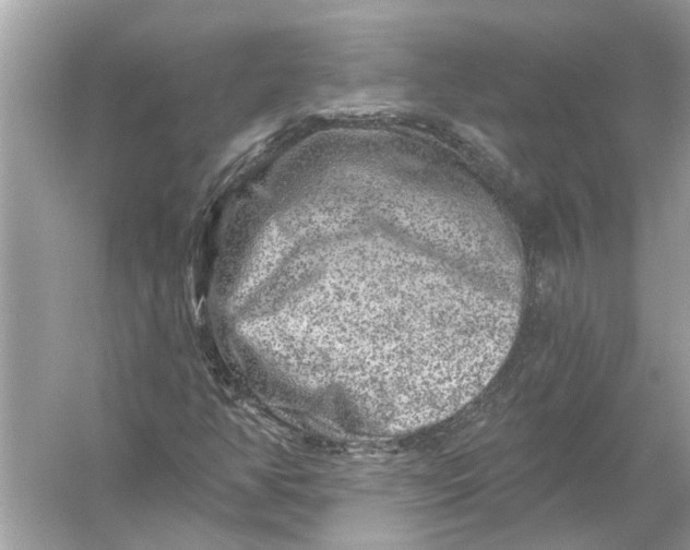 X0000055991350200509162241