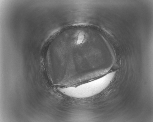 X0000055991351200509162241