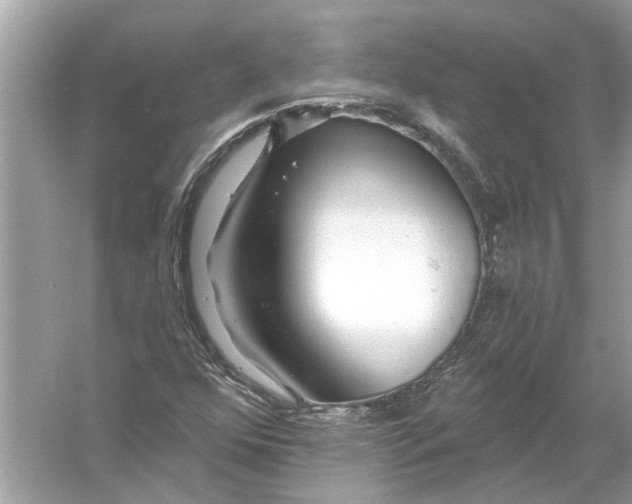 X0000055991352200509162241