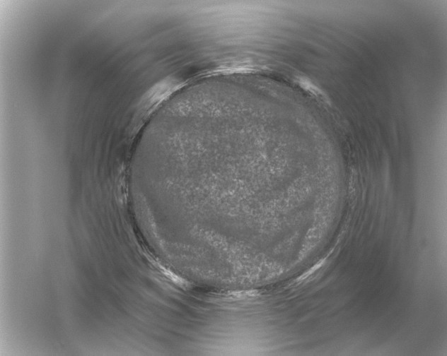 X0000055991353200509162241