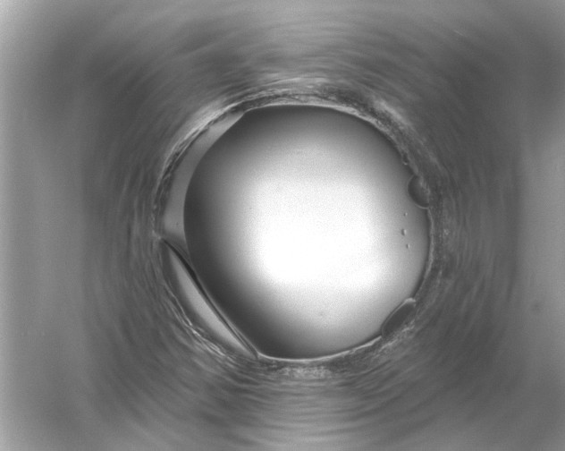 X0000055991354200509162241