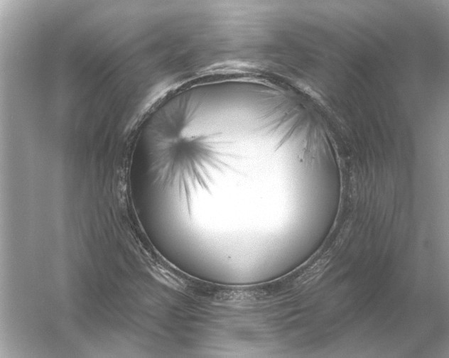 X0000055991355200509162241